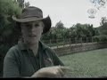 CANGURUS PREOCUPAM NA AUSTRÁLIA CANGURUS PREOCUPAM NA AUSTRÁLIA