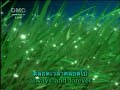 เพลงธรรมะ-ฉันจะเป็นแสงสว่างให้กับเธอ