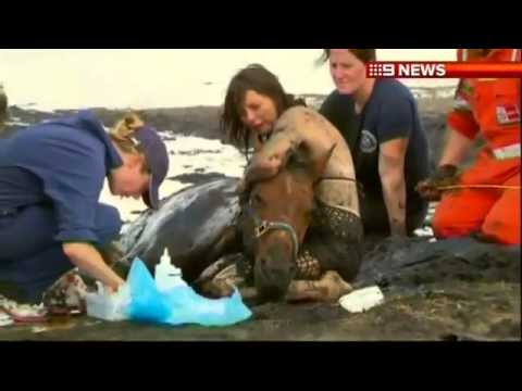 quicksand mud -