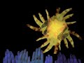 hand video project2.mpg