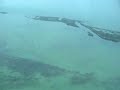 Belize The Cayes