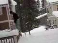 Paul jumping in snow
