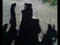 videos de Can a Shadow Vote? (election day empathy.mpeg)