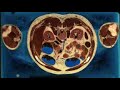 BODY SCAN BODY SCAN