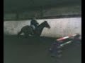 riding bix at liscombe