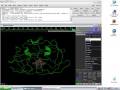 Finding Important Amino Acids.avi