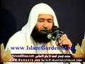 الشيخ محمود المصرى
