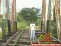 El viaje