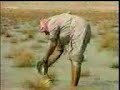 مقطع عن البدو   مع تحيات (الكربي)