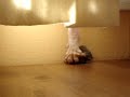 Cornish Rex cat kills mouse!
