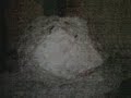 Making the ultimate snow ball part 1 Making the ultimate snow ball part 1