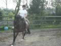 Click here to watch this video Barnaby 2