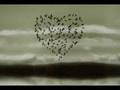 **FERD� �NAL**BU SEN OLAMAZSIN**YEN�**