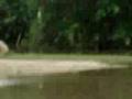 Neosho River Flood