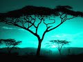 African dream or narcotic trance....?