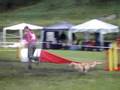 Agility Hrusica 08, Goldi