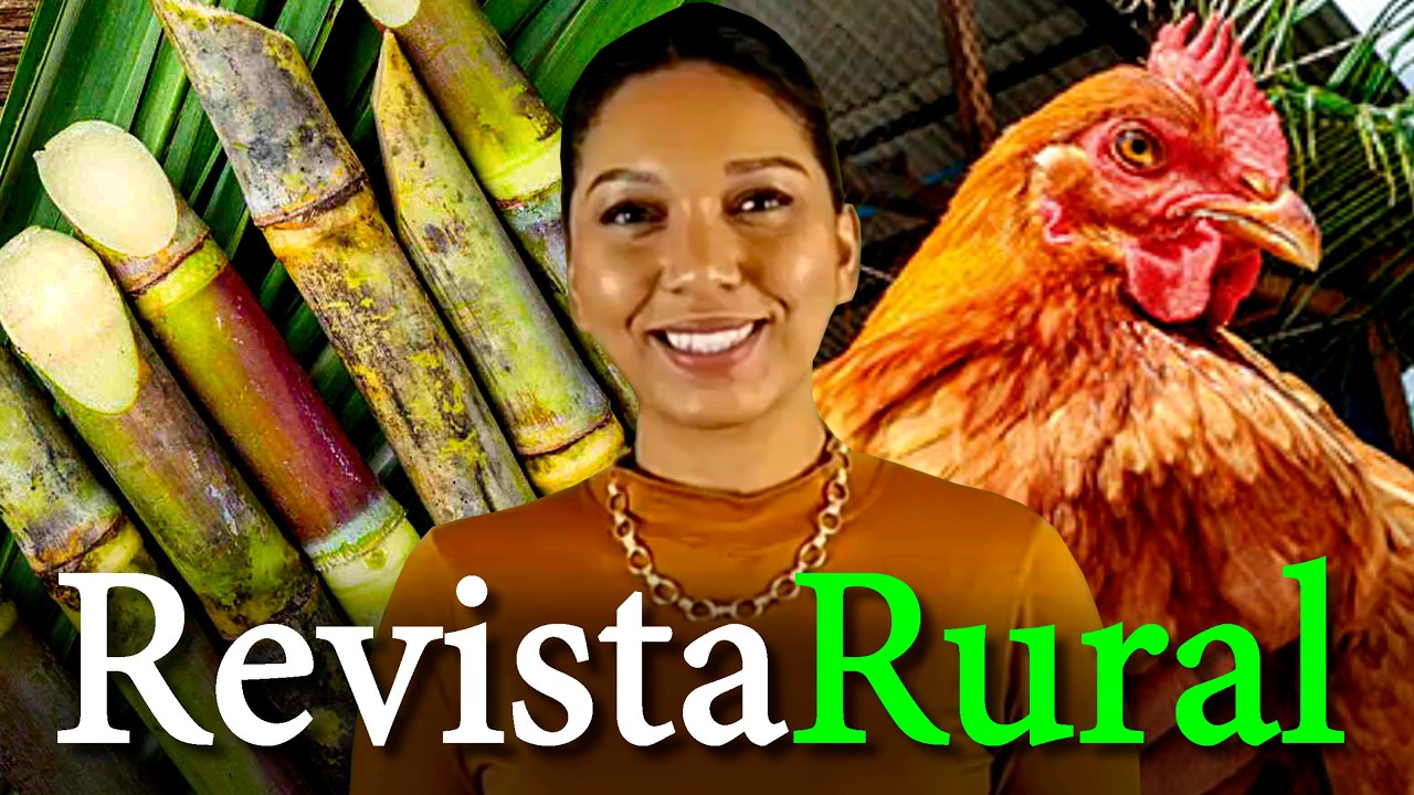 PROGRAMA REVISTA RURAL - 14/06/2026