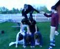 pyramid