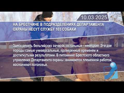 Новостная лента Телеканала Интекс 10.03.25.