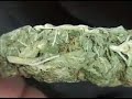 montage of different types of nuggets.           Answer4canceR