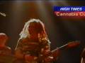 videos de The  Cords at the Cannabis Cup