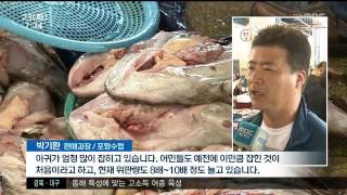 뉴스투데이