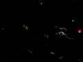 videos de luke vibert planetarium 08