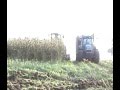 videos de John Daly - Maize 2008