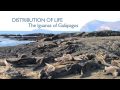 RDF TV - Distribution of Life: The Iguanas of Galápagos - Richard Dawkins