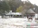 parcours de saut d'obstacles � cheval.