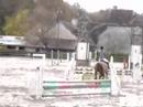 parcours de saut d'obstacles � cheval.