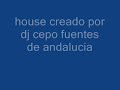 house creado por dj cepo