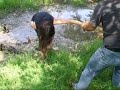 je suis tomber ds la boue ou ds un sable mouvant