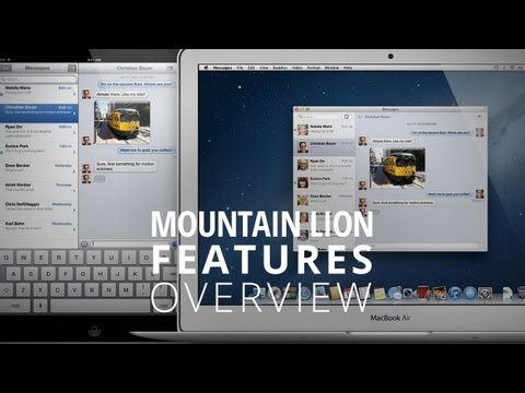 mountain lion