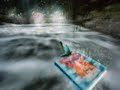 ratatouille vg   white water rafting