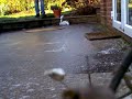 slipping on ice. kaboom.