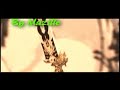 garo by mazille
