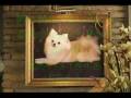 Heroes: Mr Muggles - Lonley Pup in a Christmas Shop