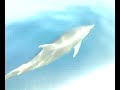 DELFINES