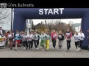 XVI Biegi Niepodleglosciowe