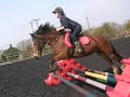me and lucky
my 13.2 6year old bay mare

he is still very green and just keeps improving !! shes lovley 

shes flying 3ft3 

im hoping to take her to her first show soon and do the tiny classes 2ft,2ft3 2ft6 

love you lucky 

also im changing her name any one have any ideas