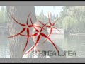 Andrei-Luca-Popescu-