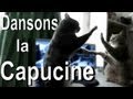 Dansons la capucine