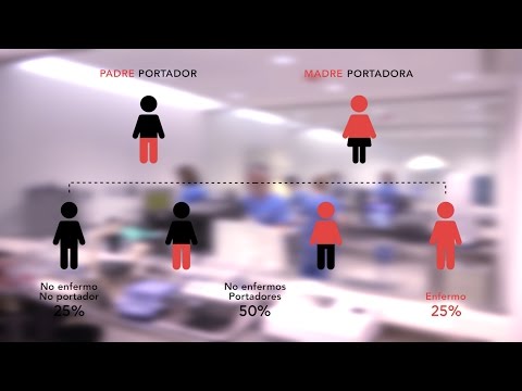 La compatibilidad genética en la pareja