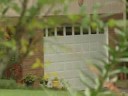 Fox Attacks Winston-Salem Residents