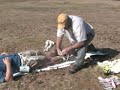 Improvised Traction Splint