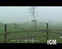 ImNebel