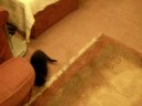 Ron and Henry - the first night Ron and Henry - the first night