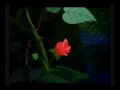 Je la trouve assez jolie! Tait-toi bouton!