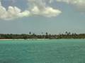 Tagesausflug/ Daytrip - Flying Fish Catalina & Saona Island